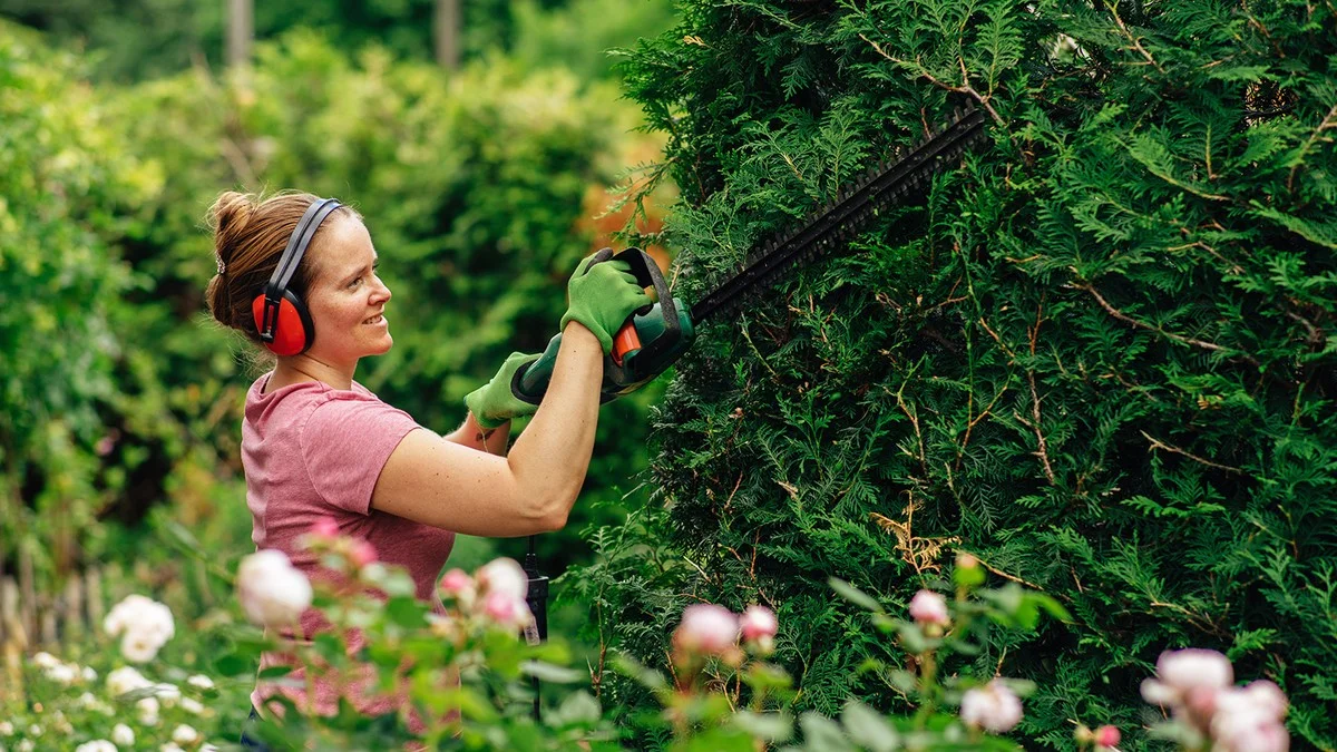 laregledes50cmp-extra-1.webp La règle des 50 cm pour votre haie : pourquoi vous devez tailler avant le 15 décembre sous peine d