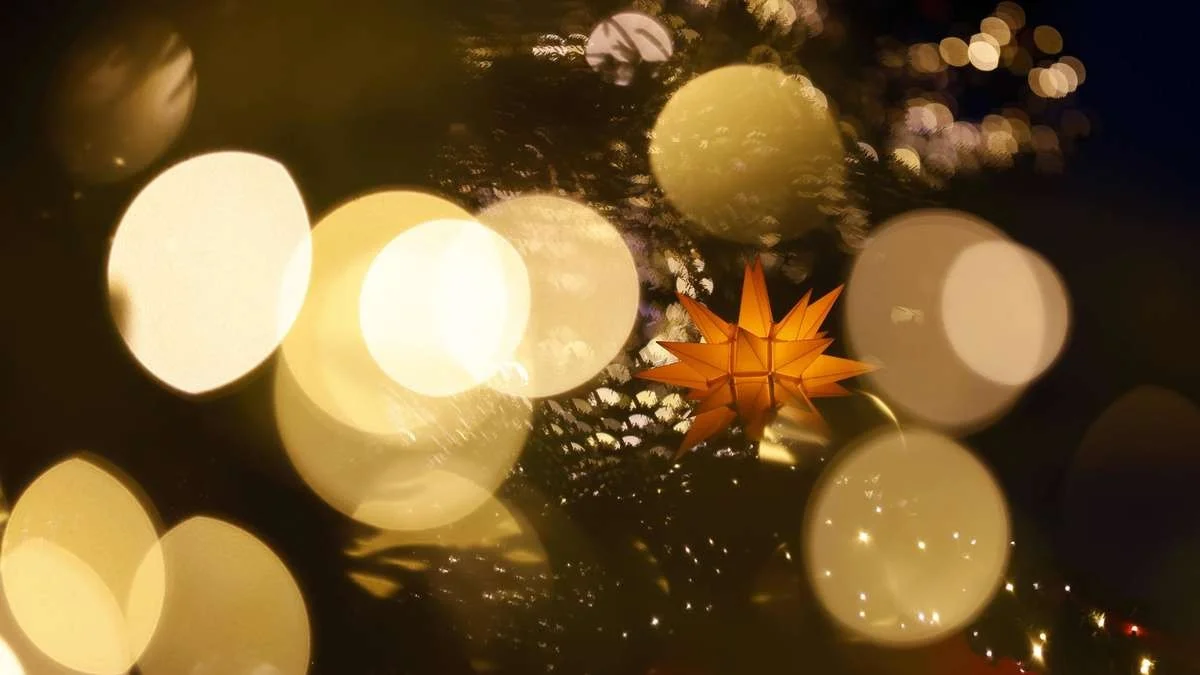 Ce que les jardiniers aguerris font sur la place de la cathédrale de Cologne à Noël