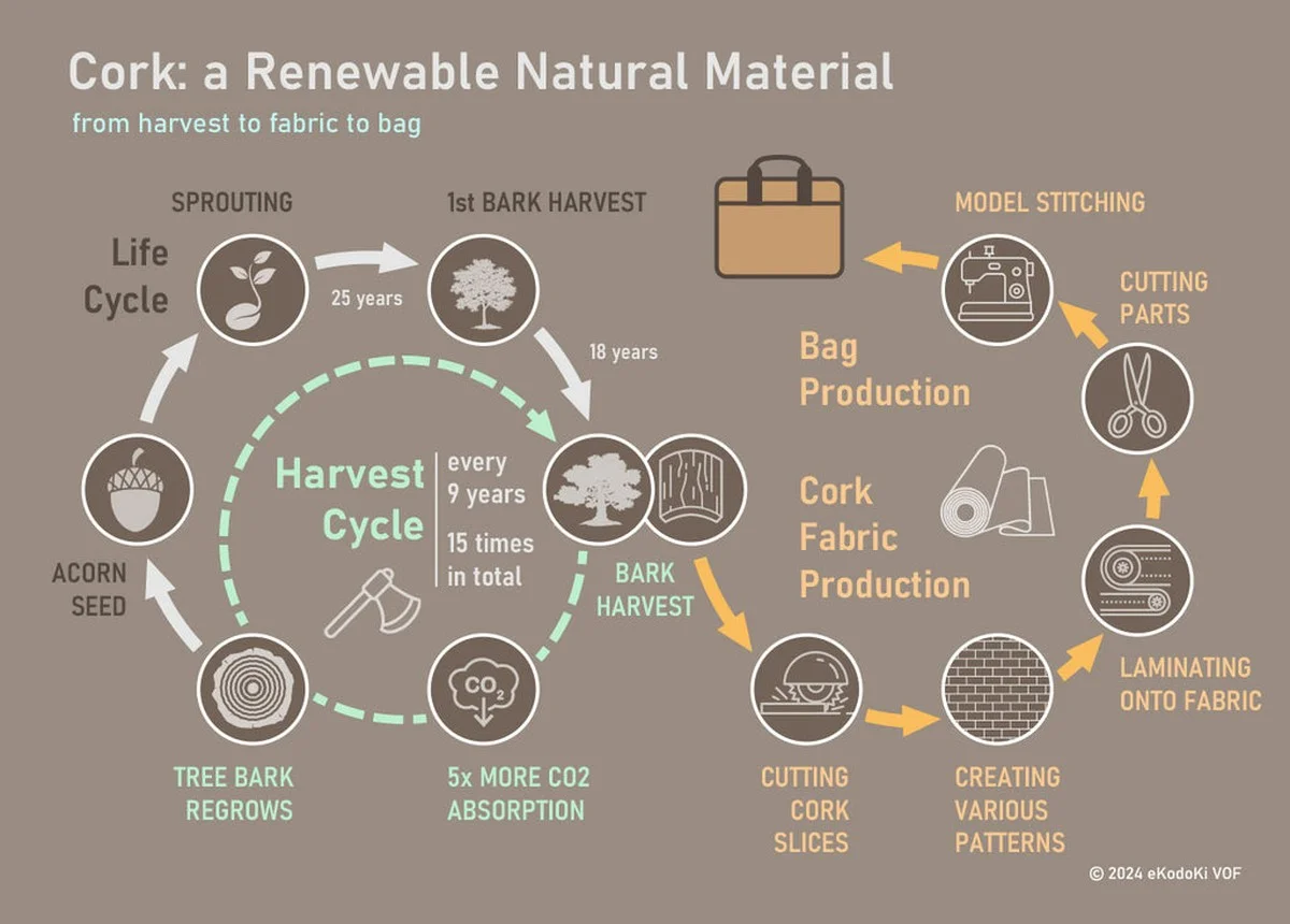 Des bouchons de liège dans la terre ? Découvrez pourquoi les jardiniers experts le font. - image 1