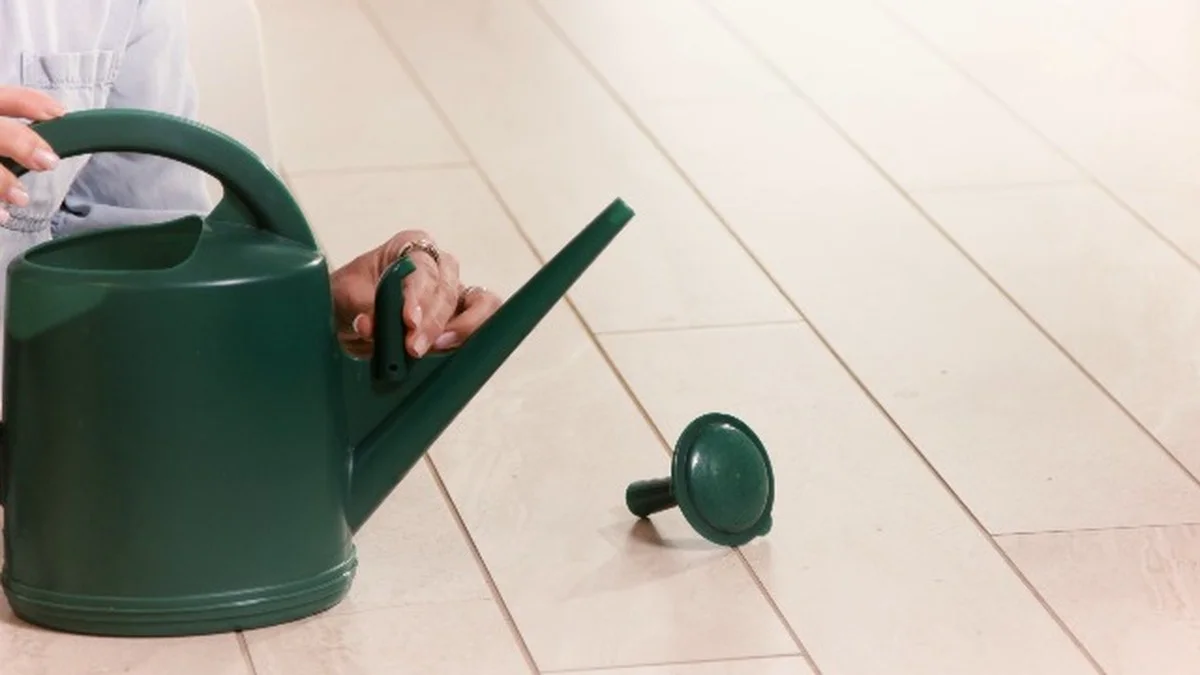 Un bas nylon sur votre arrosoir ? Comment il distribue l'eau parfaitement uniforme.