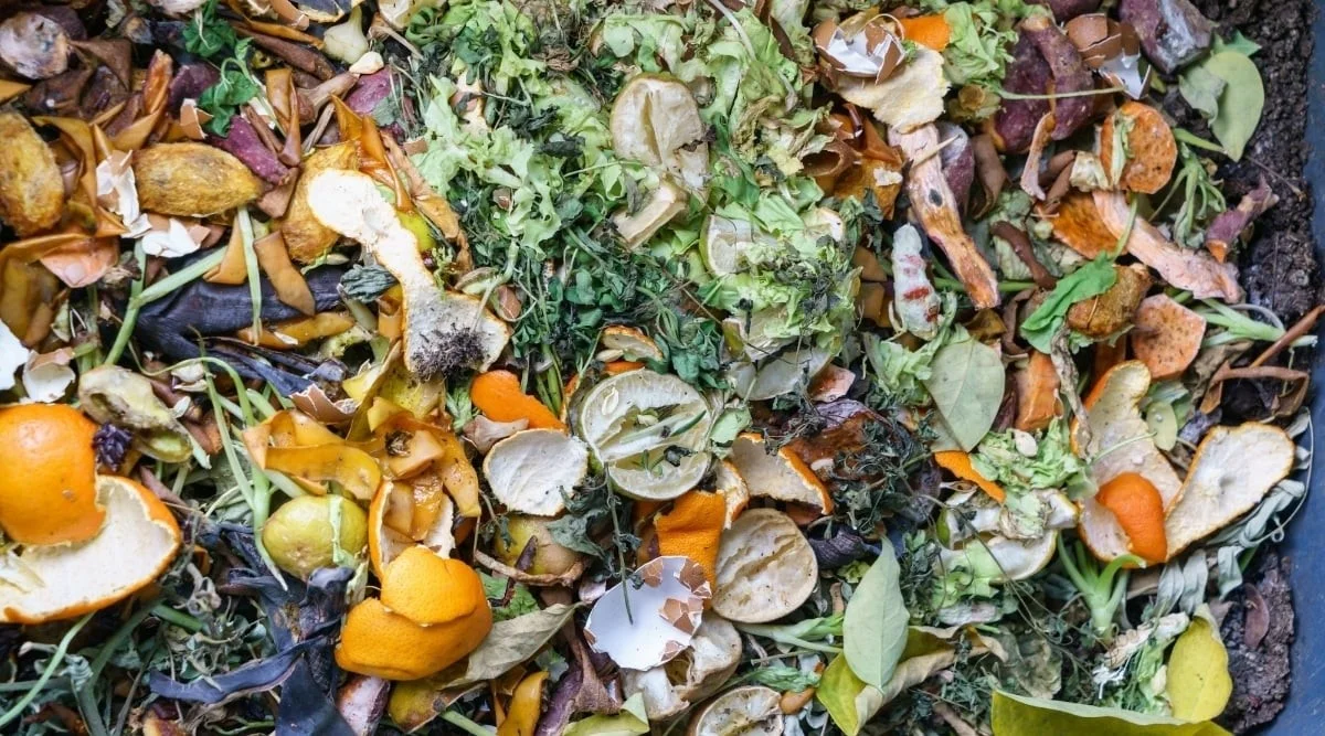 peaudorangedans-gen-3.webp Peau d