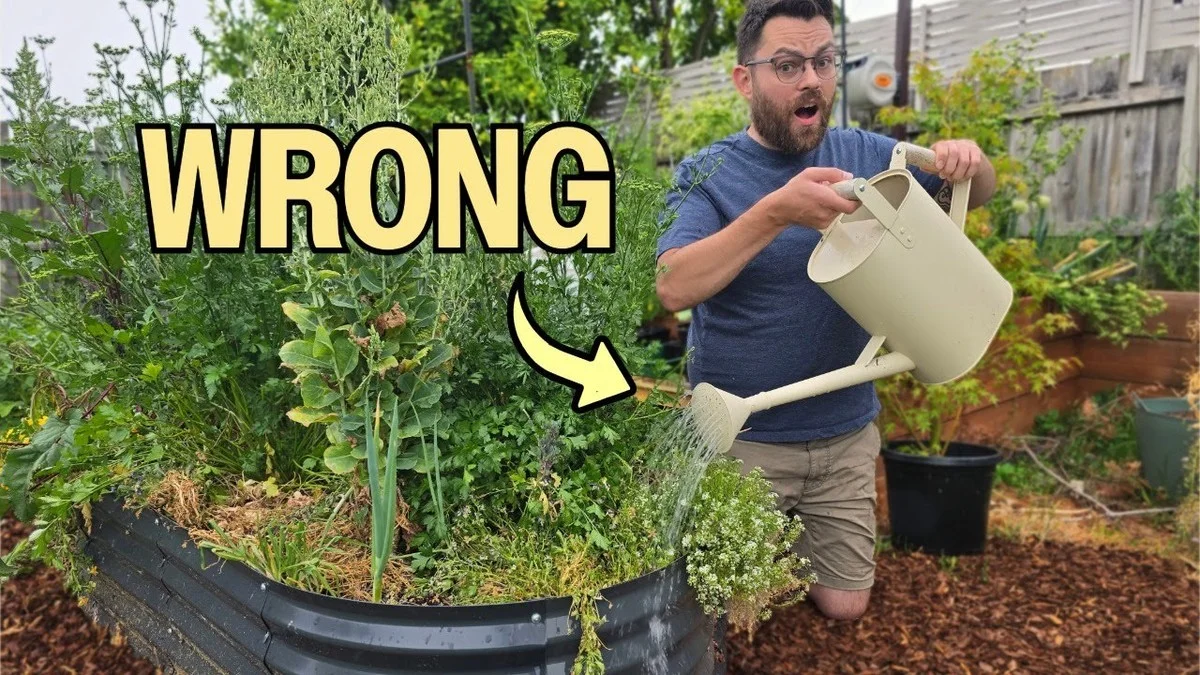 Les paysagistes professionnels révèlent : l'erreur d'arrosage qui tue vos plantes lentement.