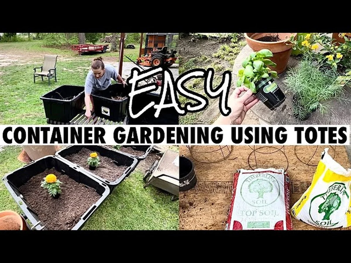 Un peu de cannelle sur vos boutures ? Le stimulant de racines que personne ne connaît. - image 2