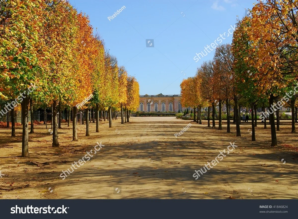 Les jardiniers de Versailles révèlent : voici pourquoi nous taillons les lavandes en septembre. - image 1