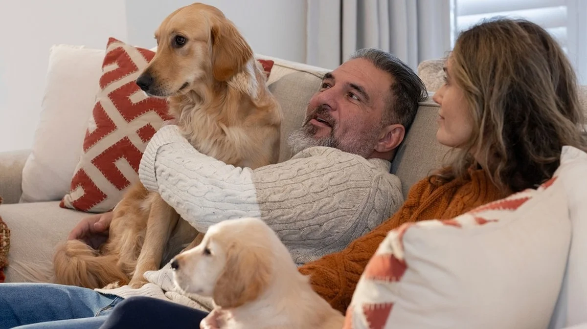 La règle des 7 ans pour l'âge des chiens est fausse : découvrez leur véritable âge humain