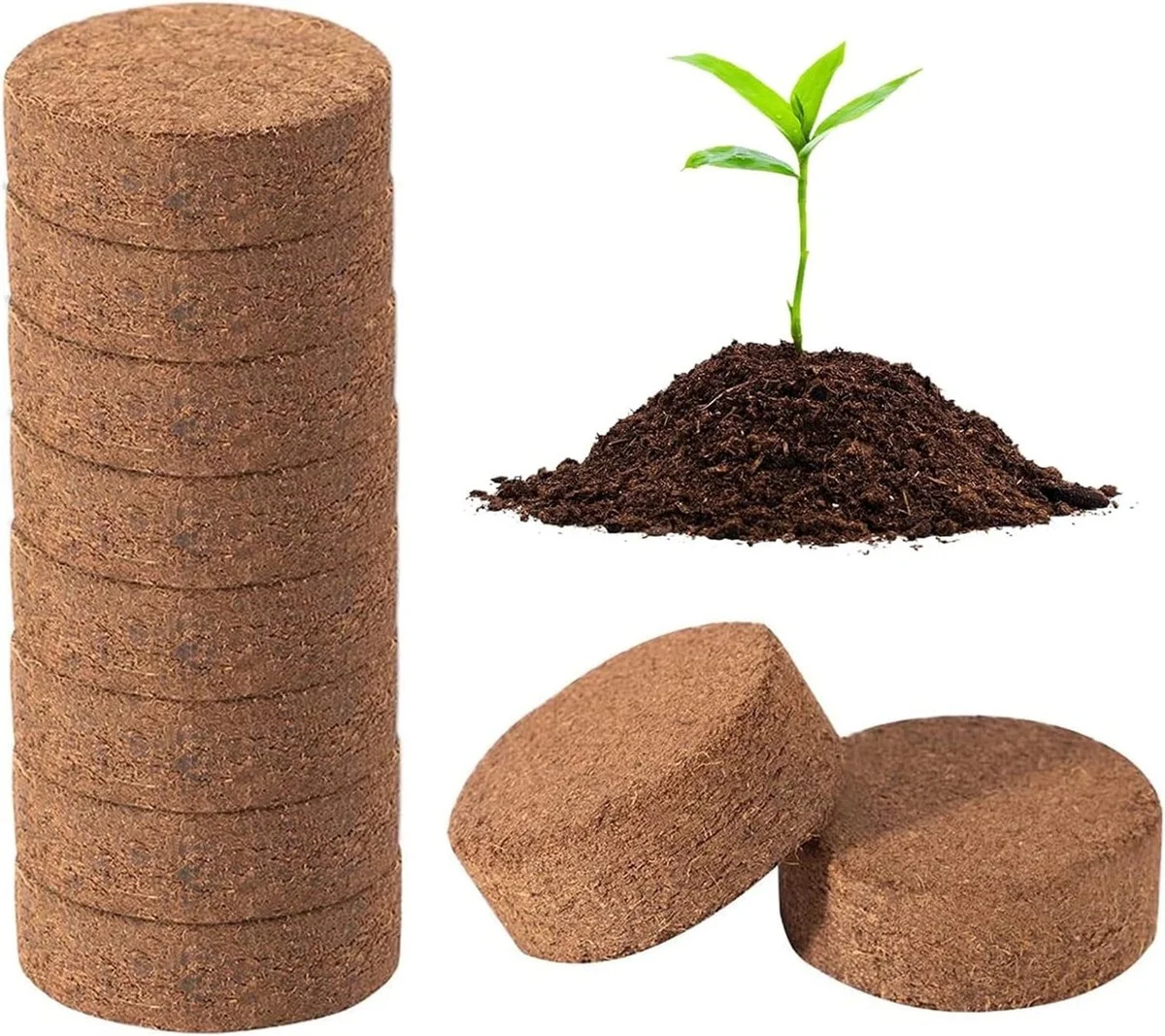 Des bouchons de liège dans votre terreau ? Pourquoi ils améliorent le drainage de 40%.