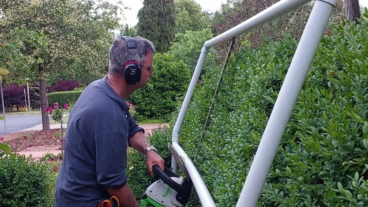 Les jardiniers de Versailles révèlent : l