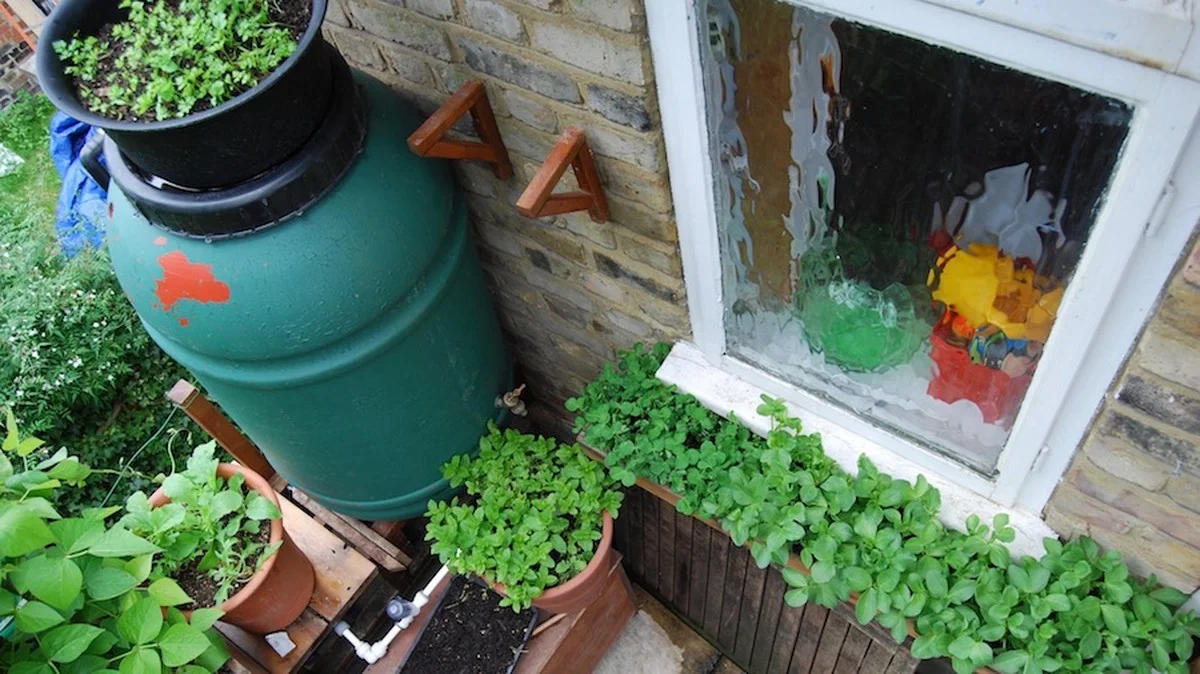 Des bouchons de liège dans votre potager ? Comment ils transforment votre arrosage. - image 1
