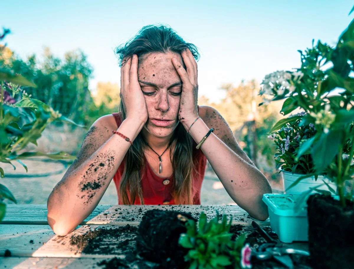 Le marc de café comme répulsif naturel ? Votre potager sans limaces en un jour. - image 2
