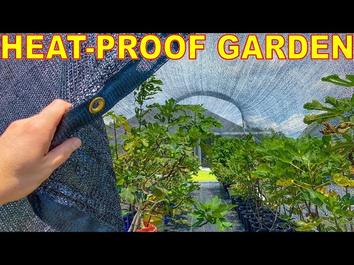 Les botanistes révèlent : l