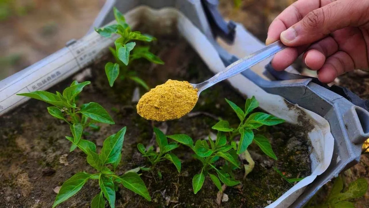 Des écorces d'agrumes enfouies près des carottes ? Ce truc qui éloigne les mouches.