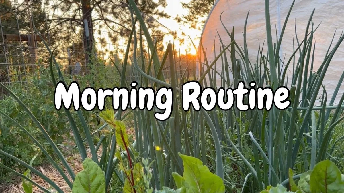 lesbotanistesre-gen-2.webp Les botanistes révèlent : la meilleure heure pour arroser vos plantes en été. - image 1