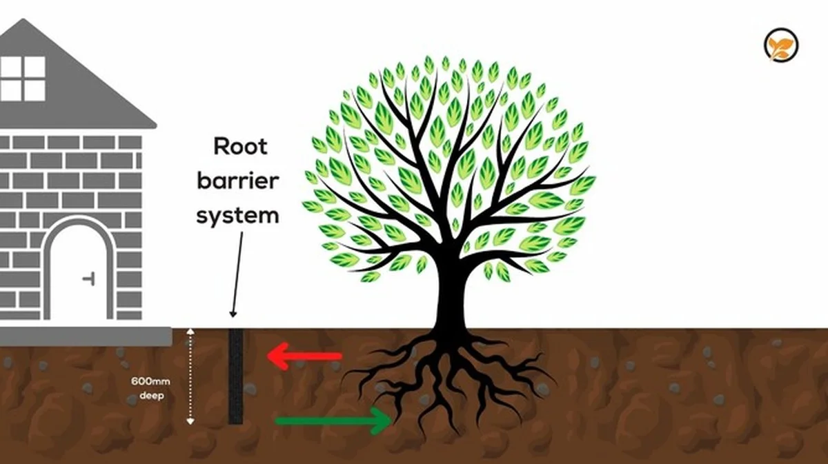 Les paysagistes professionnels révèlent : ne plantez jamais ces arbustes à côté de votre maison. - image 1