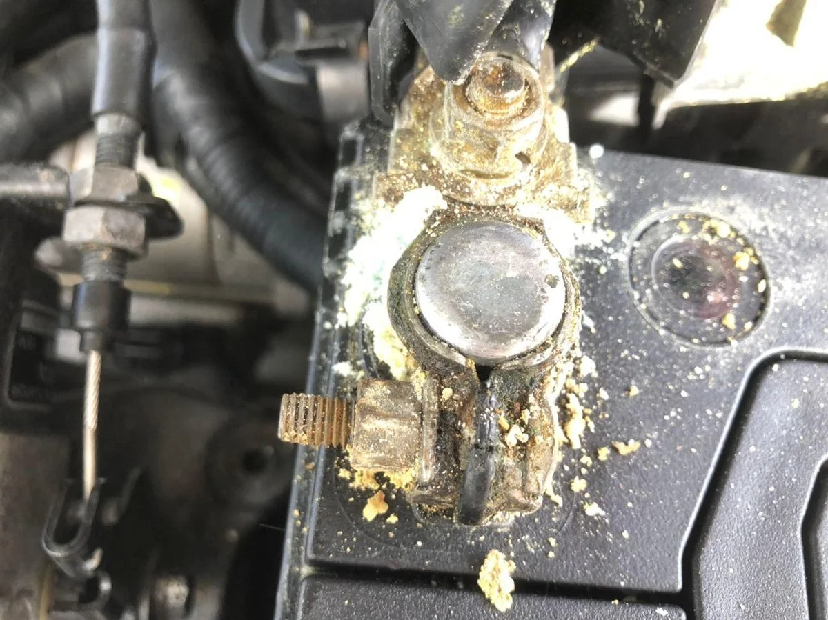 Pourquoi les jardiniers expérimentés mettent une éponge au fond du pot. - image 2