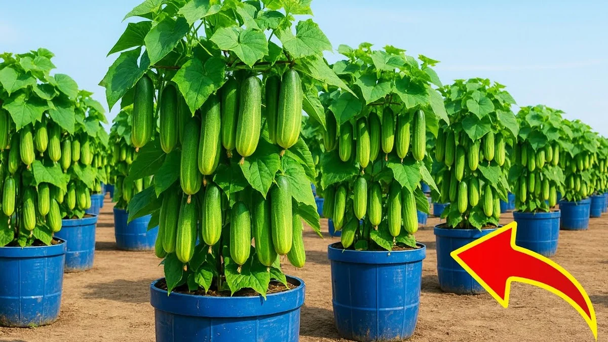 Une vieille brosse à dents pour polliniser les fleurs ? Cette technique étonnante augmente vos récoltes de 40%. - image 1