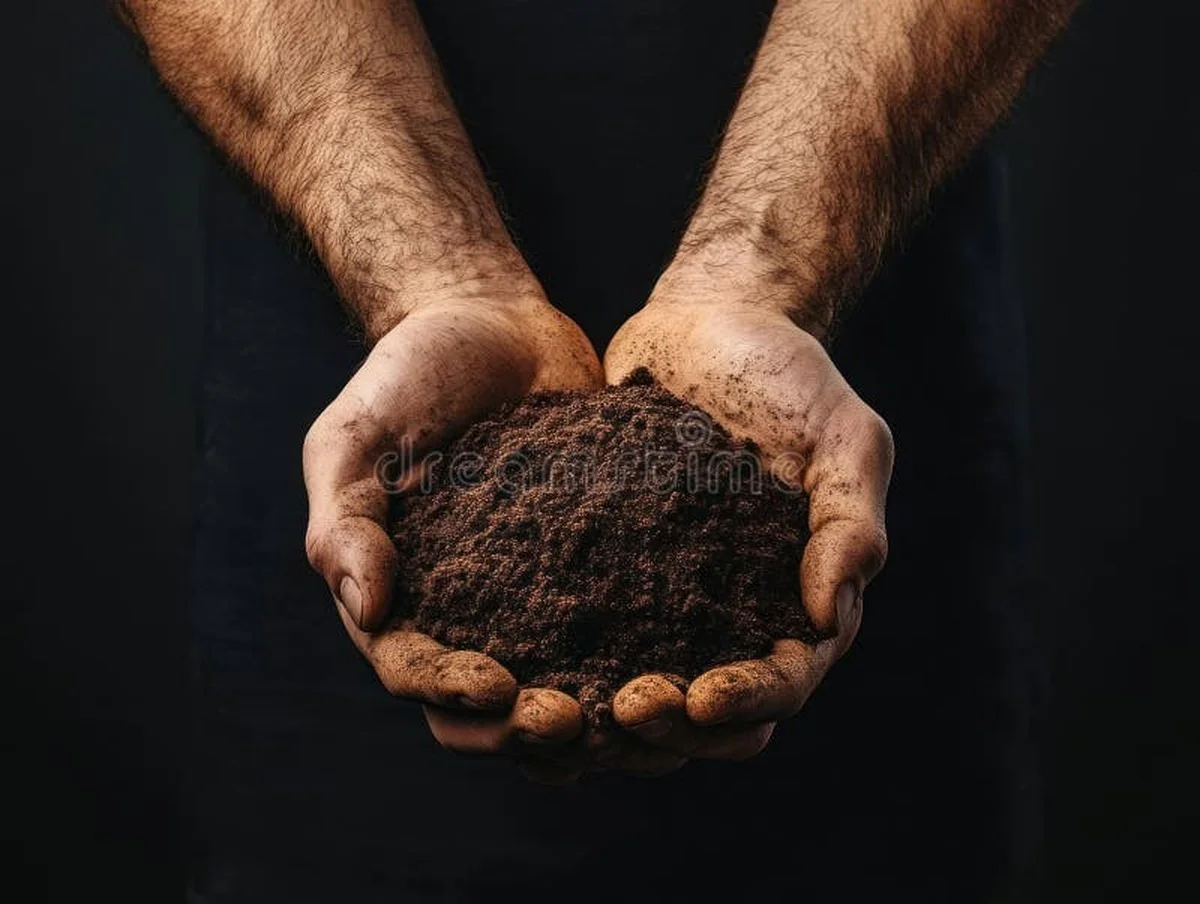 Du marc de café dans vos plates-bandes ? Pourquoi les jardiniers professionnels l