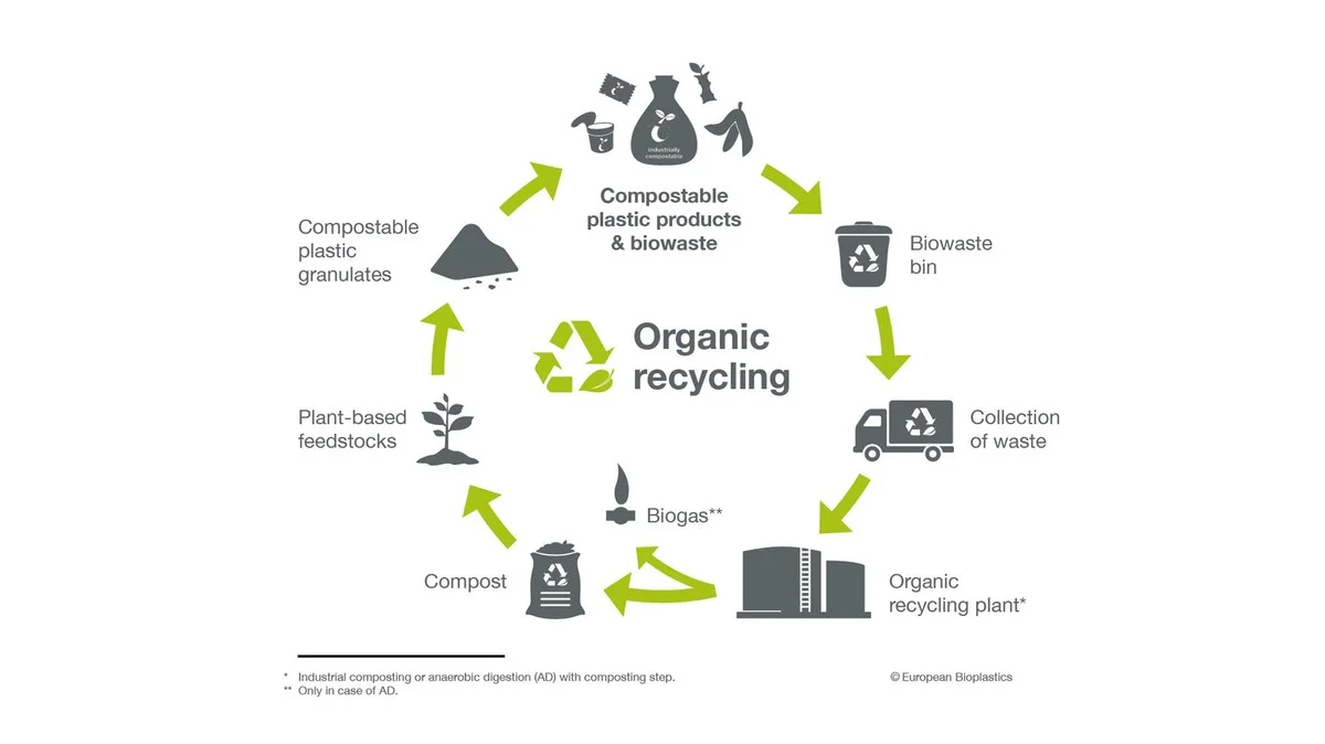 Des bouchons en liège dans votre compost ? Pourquoi ils accélèrent la décomposition de 40%. - image 2