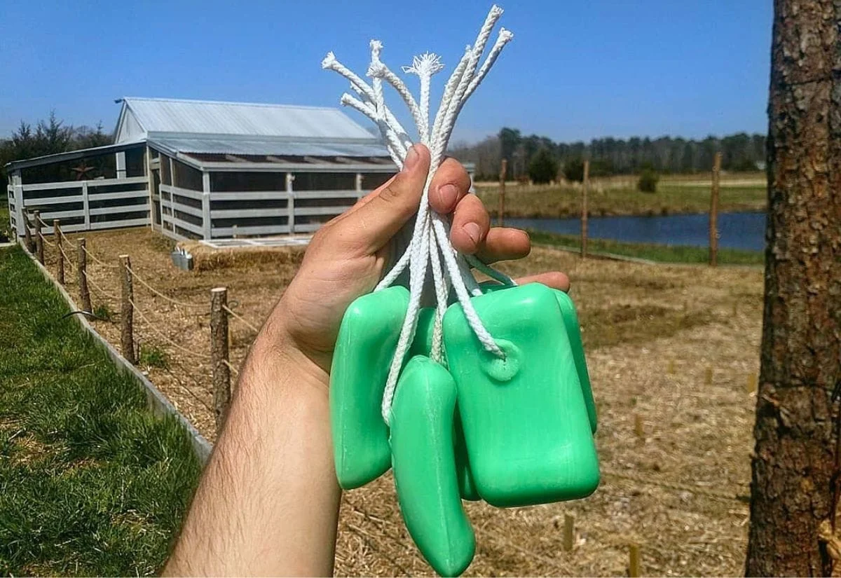 dusavonaccroche-gen-3.webp Du savon accroché aux arbres fruitiers ? L