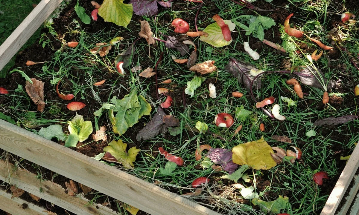 Des bouchons de liège dans le compost ? L'astuce méconnue qui accélère la décomposition de 40%.