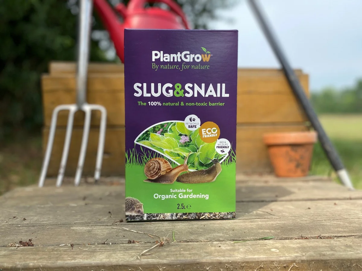 descoquillesduf-gen-3.webp Des coquilles d