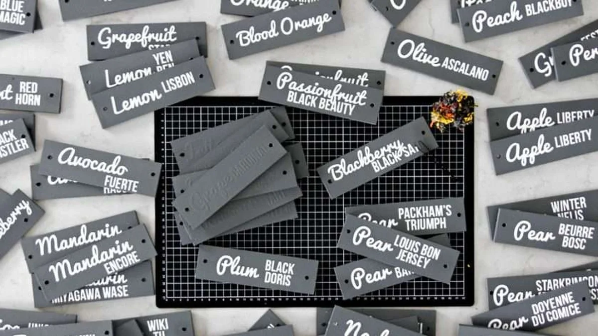 Pierres plates peintes pour étiqueter vos plantes ? Plus durables que n