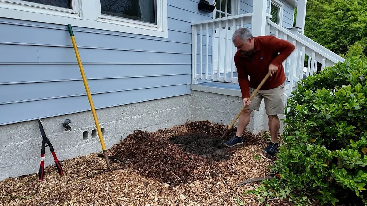 Les pépiniéristes vous supplient : ne plantez jamais ces arbustes trop près de votre maison. - image 2