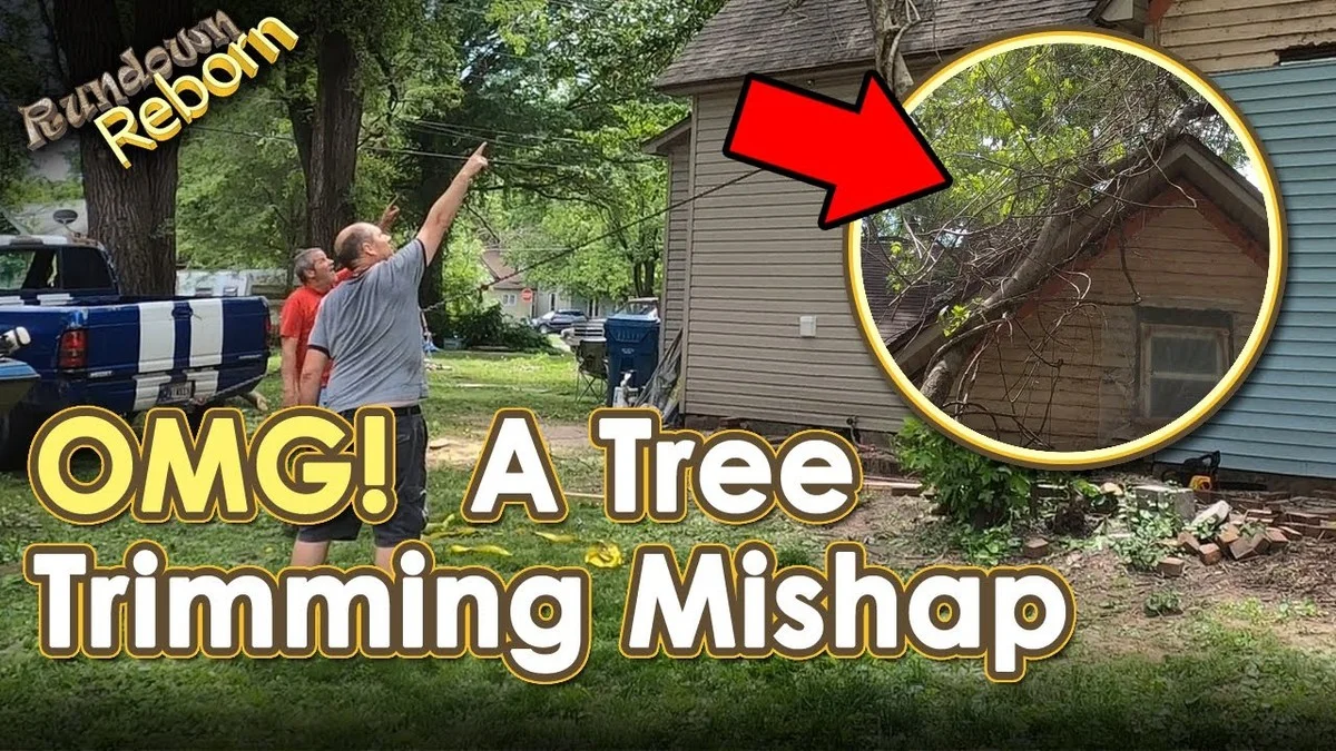 Les paysagistes vous supplient : ne taillez jamais vos arbustes de cette façon. - image 2