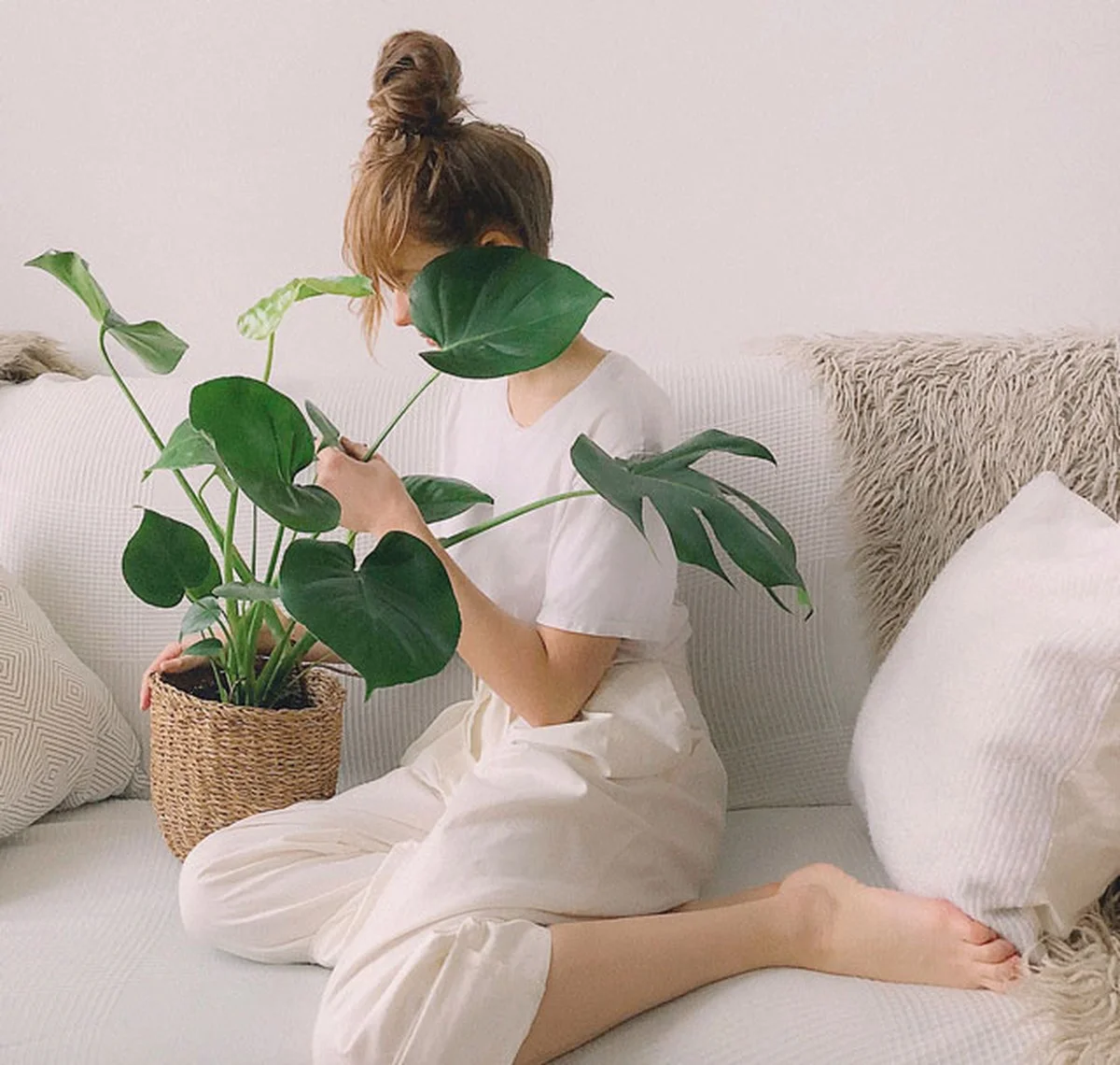 Un peu de savon noir sur vos plantes ? Pourquoi les insectes fuient mais les feuilles brillent de santé. - image 2