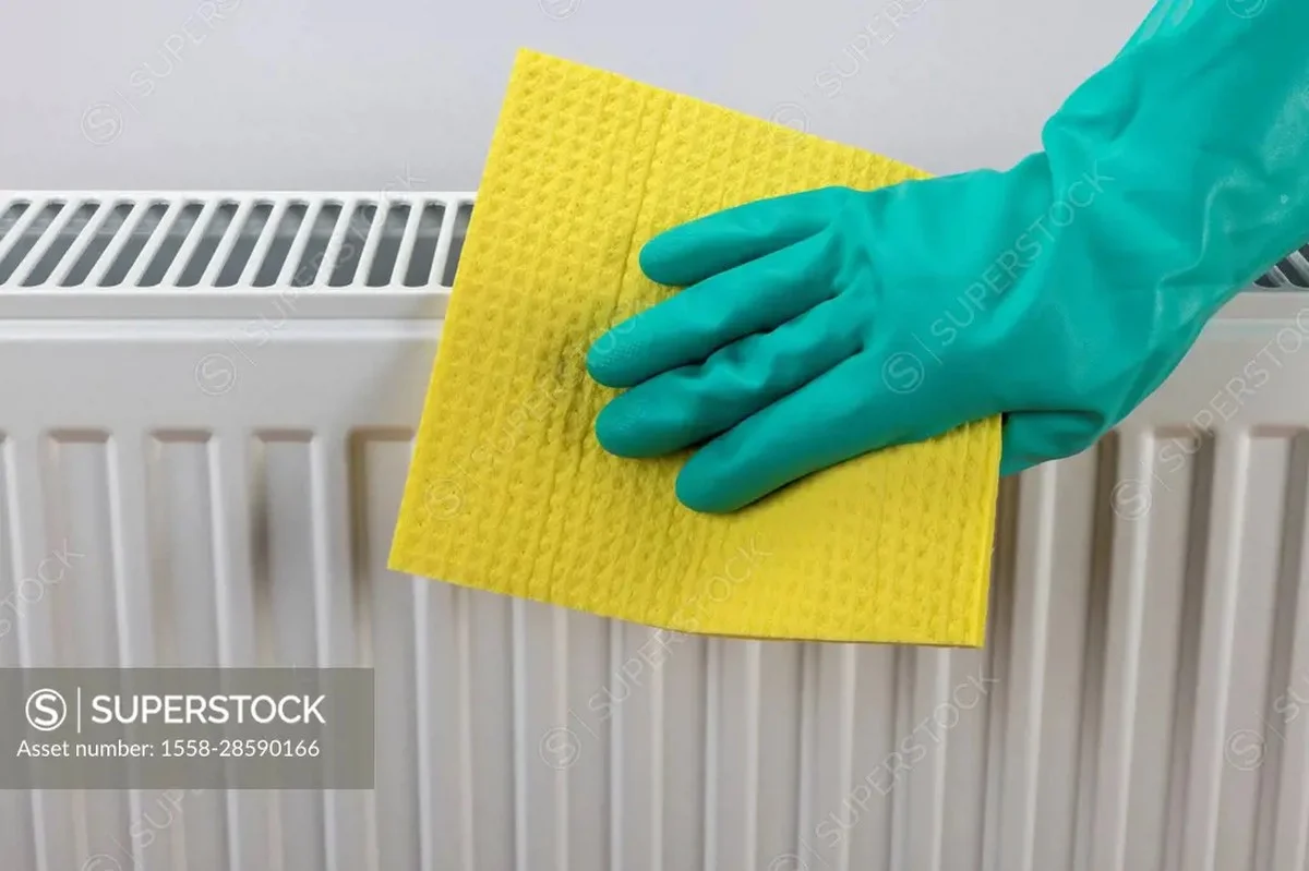 pourquoilesjard-extra-1.webp Pourquoi les jardiniers expérimentés placent une éponge humide sur le radiateur en hiver - image 1