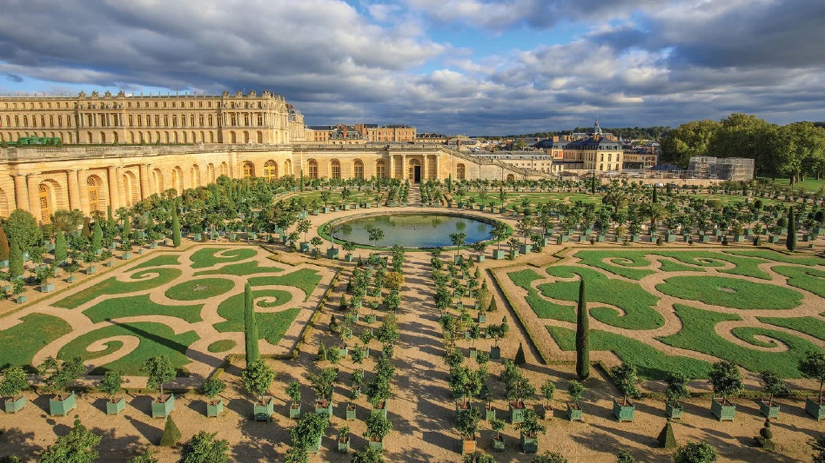 Les jardiniers de Versailles révèlent : l'astuce méconnue pour des buis sans maladies.