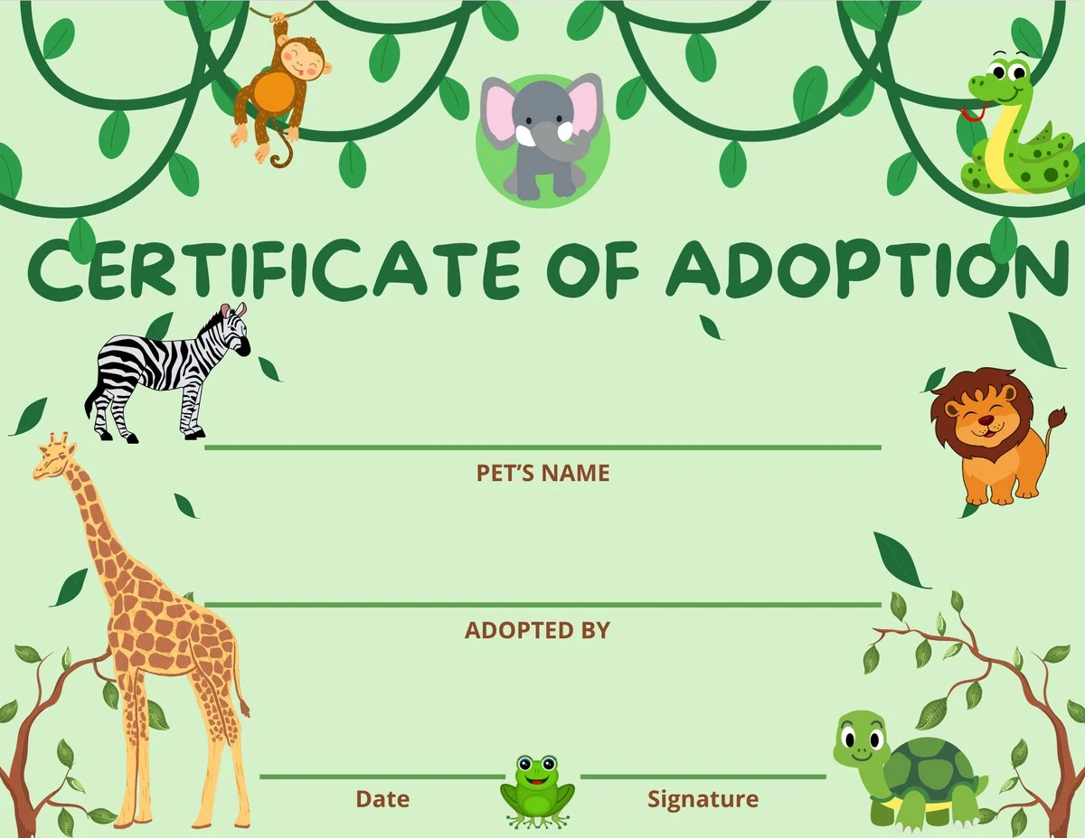 Pourquoi adopter une autruche en peluche sauve les vrais animaux de Bavière (et comment faire) - image 2