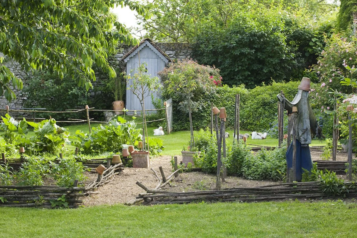 Cendres de bois dans le jardin ? L