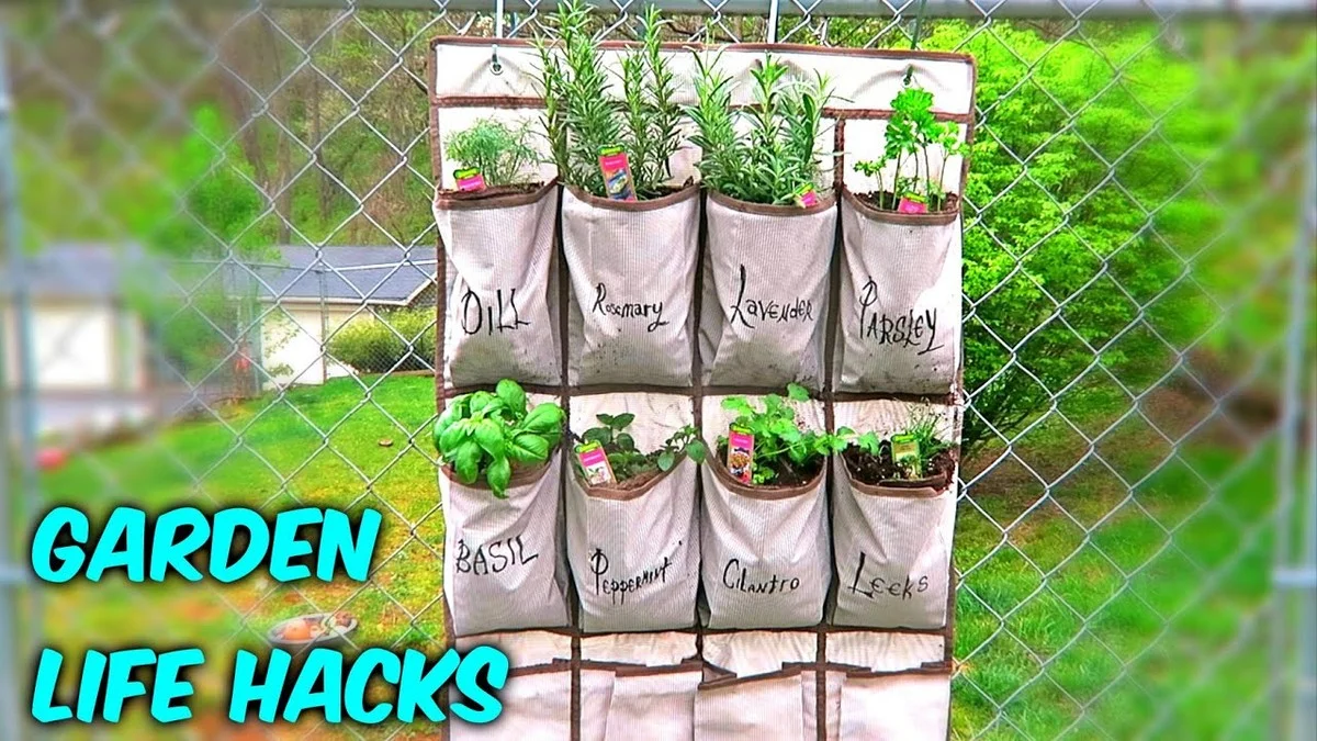 Des bouchons de liège dans votre compost ? L