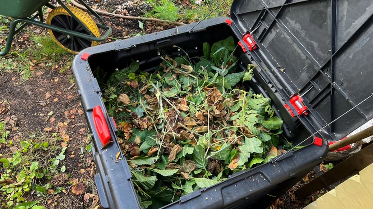 Des bouchons de liège dans le compost ? L'ingrédient secret pour un humus exceptionnel.