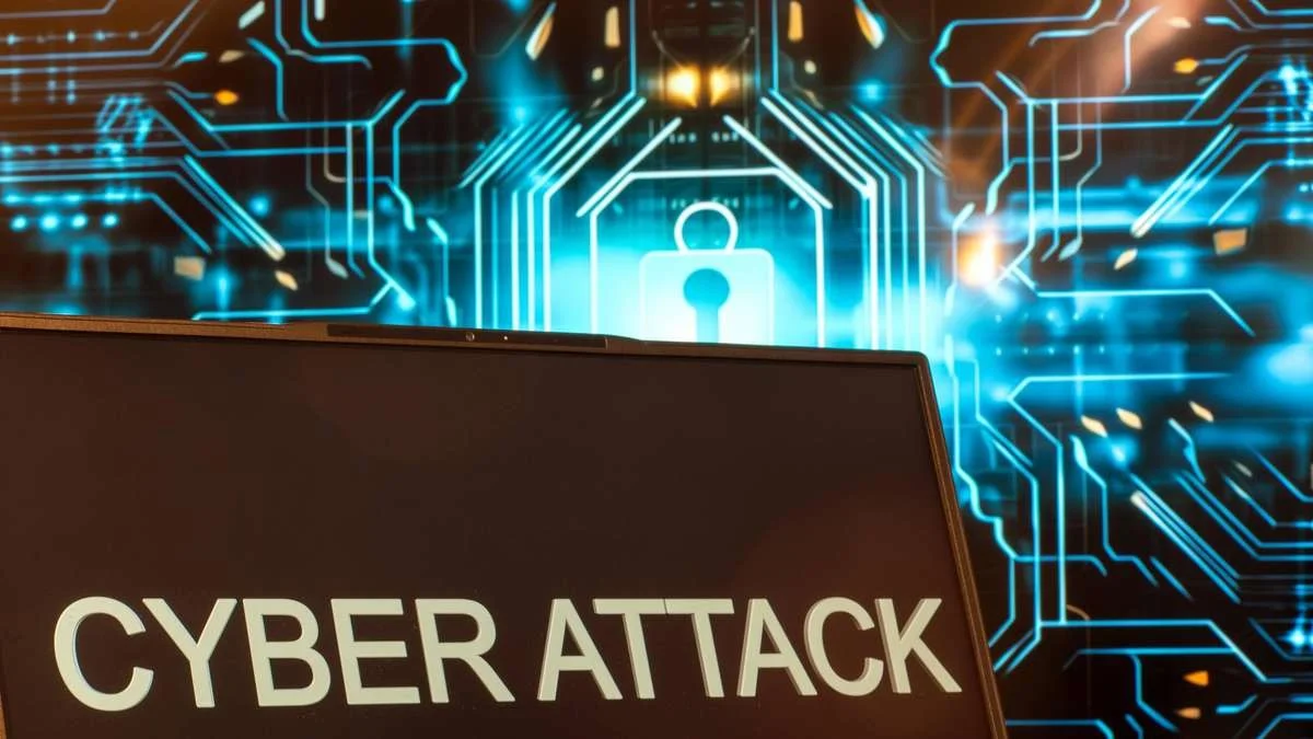 Le jardinier expérimenté met-il vraiment une éponge sous le pot de fleurs ?