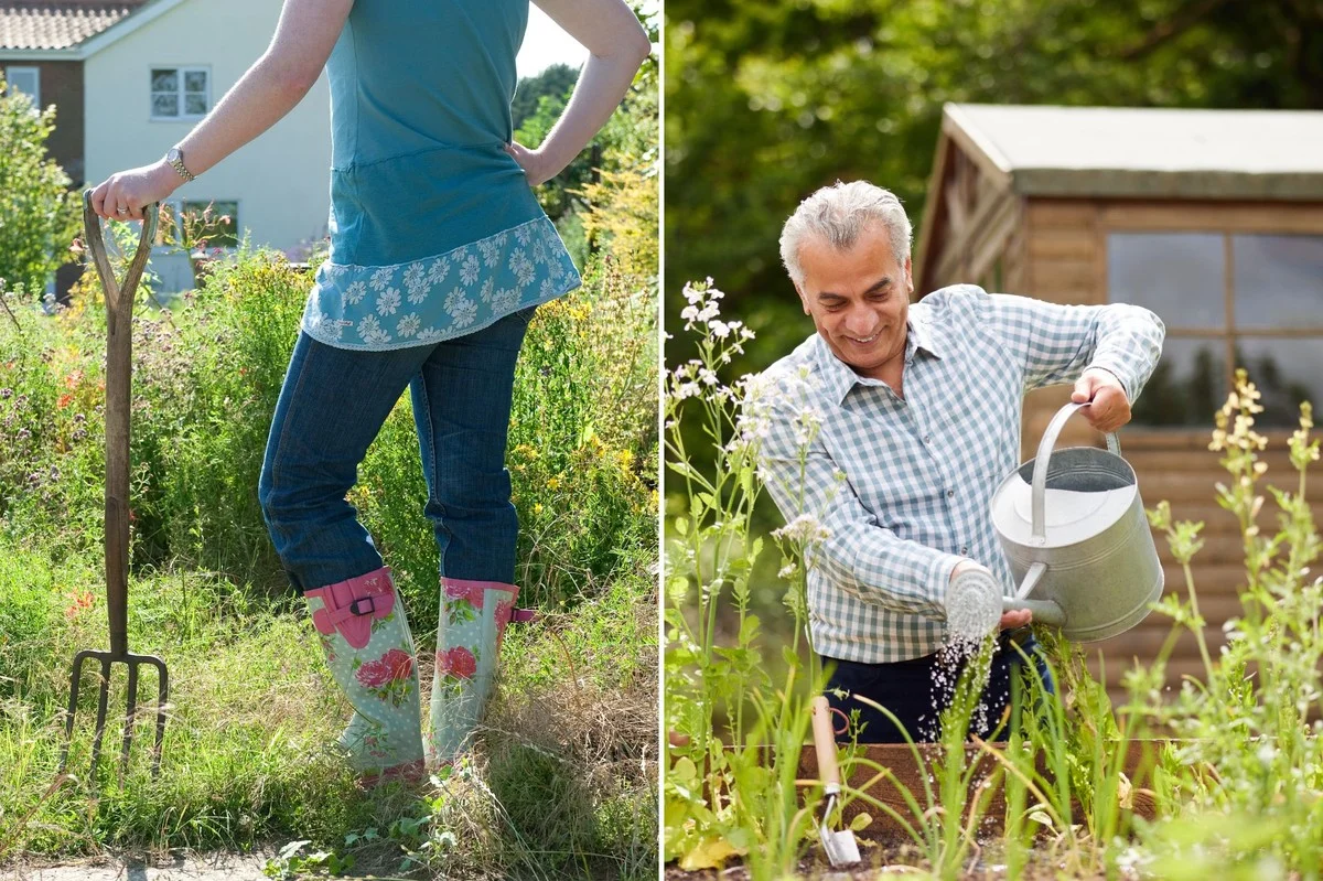 peaudebananeenf-gen-3.webp Peau de banane enfouie au pied des rosiers ? Le secret d
