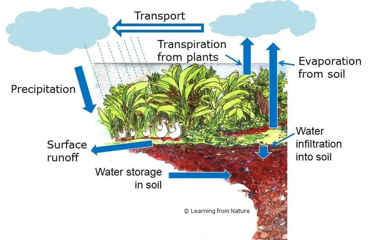 Une paille dans le pot d