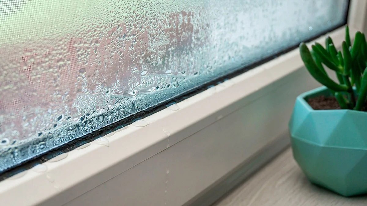 Ce que la condensation sur vos fenêtres révèle sur l'air de votre maison (et quatre solutions concrètes)