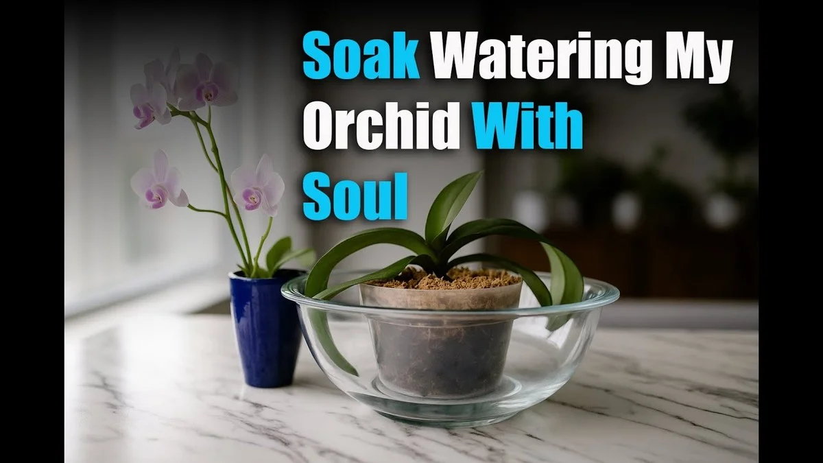 Les horticulteurs révèlent : l