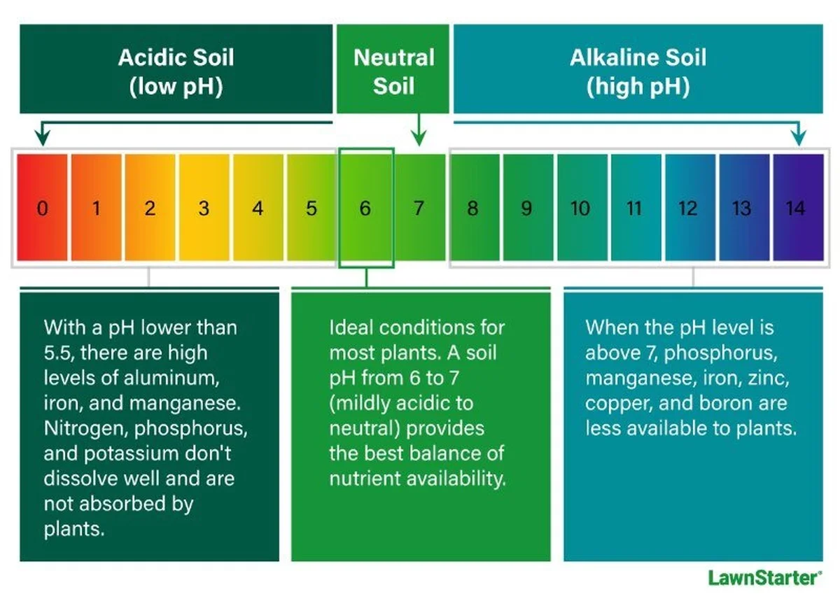 descendresdeboi-gen-2.webp Des cendres de bois sur le sol ? L