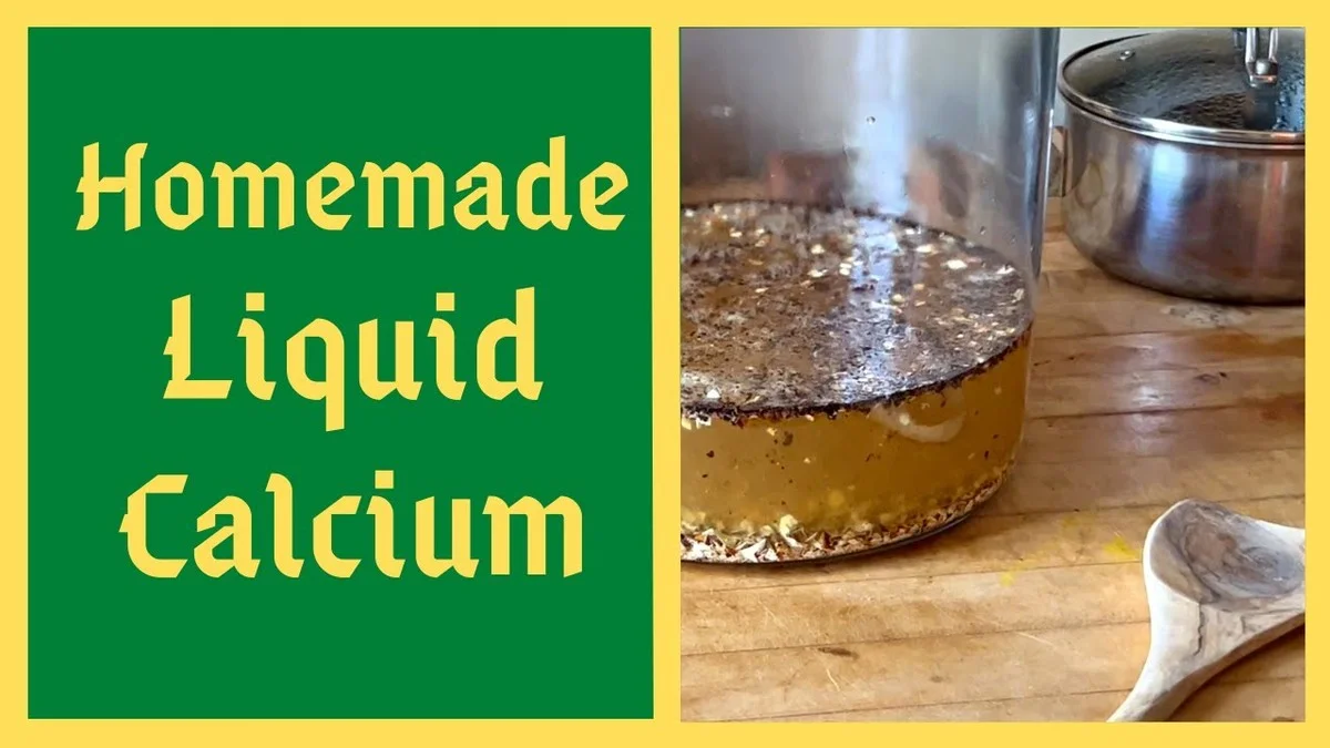 descoquillesduf-gen-2.webp Des coquilles d