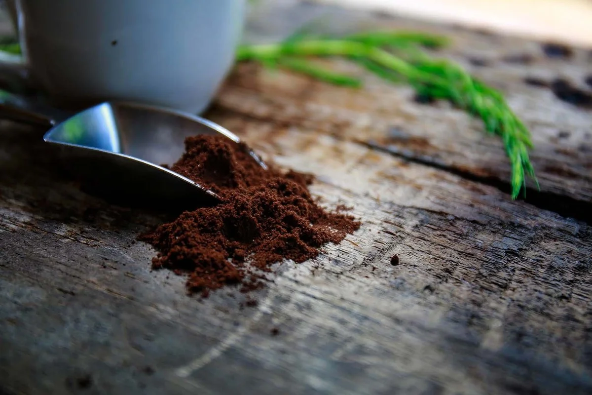 Du marc de café dans les rosiers ? Voici pourquoi vos fleurs vont exploser de couleurs. - image 2