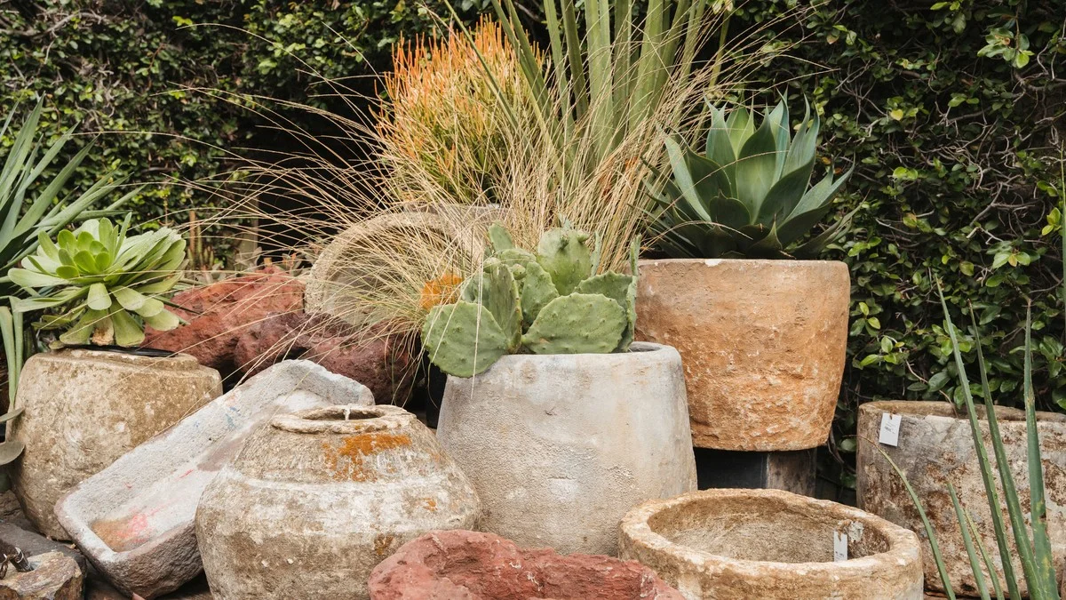 leshorticulteur-gen-2.webp Les horticulteurs révèlent : l