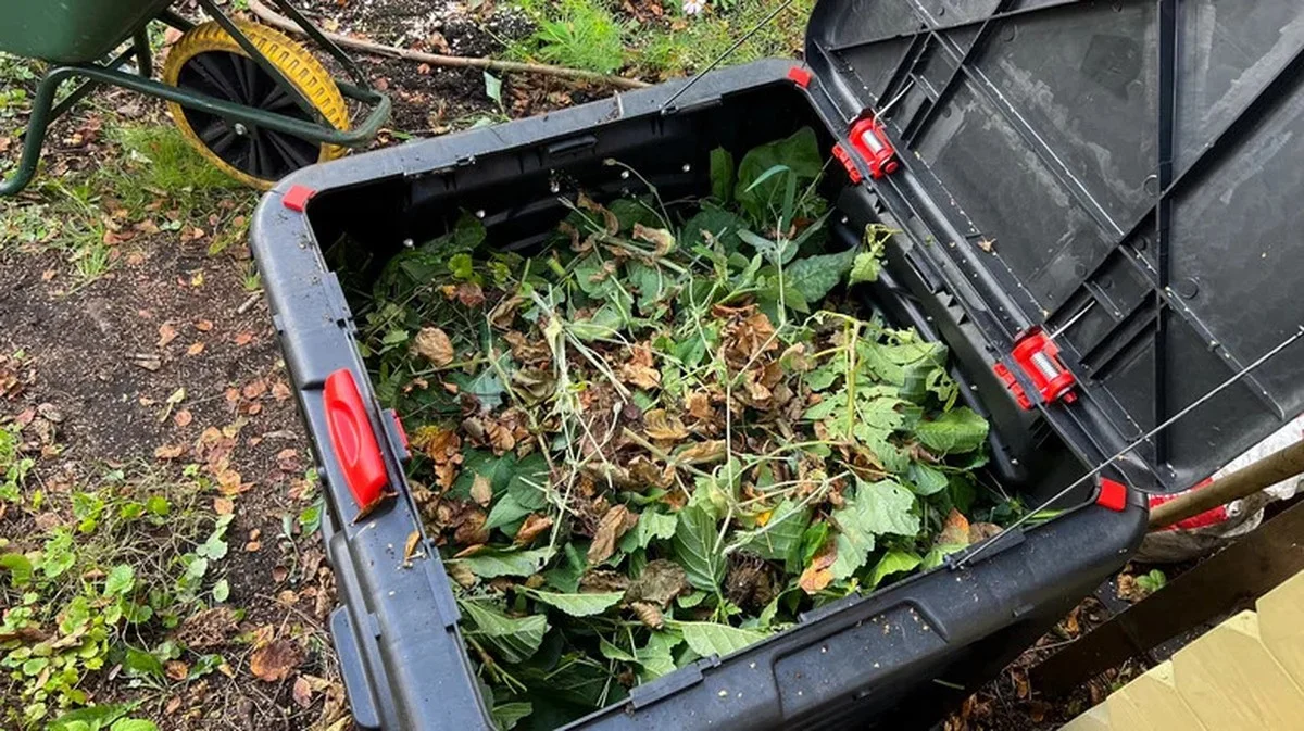 Des bouchons de liège dans le compost ? L'astuce méconnue pour un humus parfait.