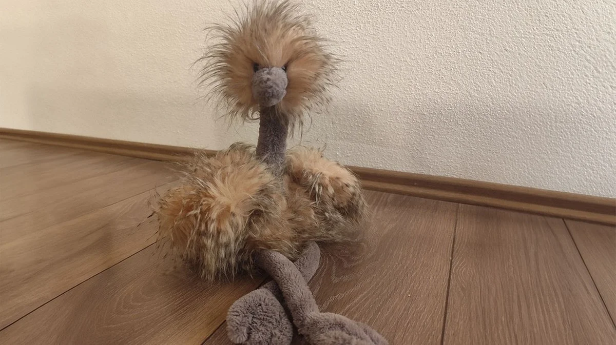 Pourquoi adopter une autruche en peluche sauve les vrais animaux de Bavière (et comment faire)