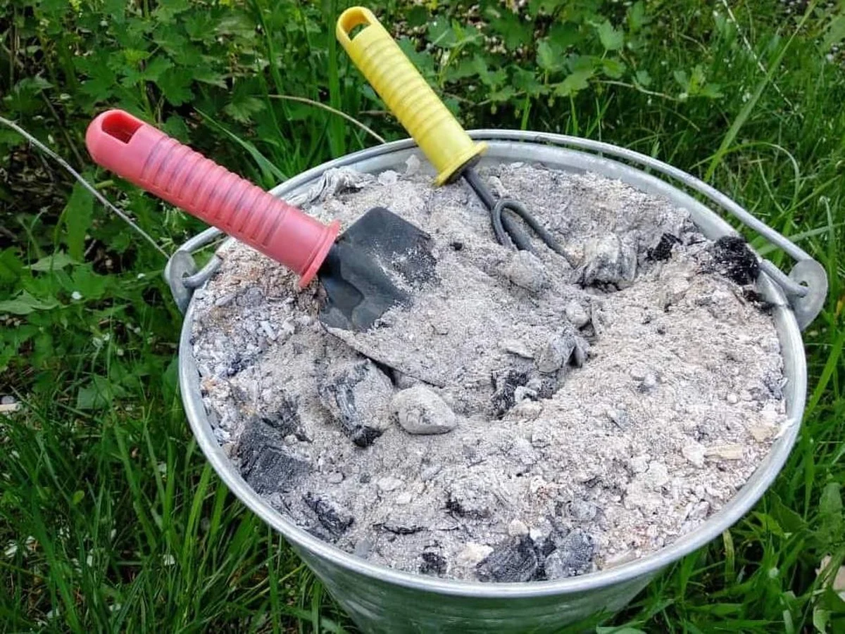 Cendres de bois dans le compost ? La méthode ancestrale qui revitalise votre jardin.