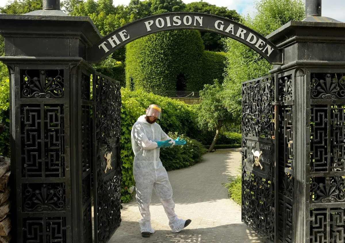 Les pépiniéristes avertissent : ne plantez jamais ces 3 arbustes côte à côte dans votre jardin français. - image 1