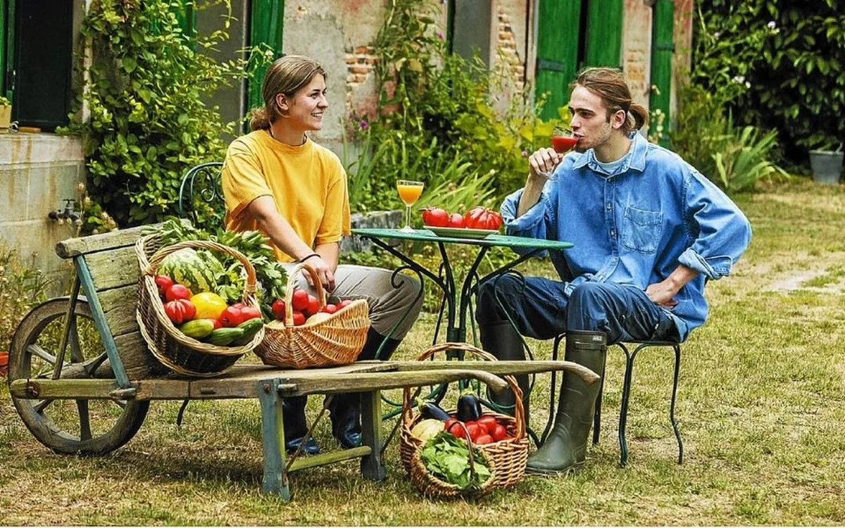 Horticulteurs avertissent : ne jamais planter ces légumes côte à côte dans votre potager. - image 1