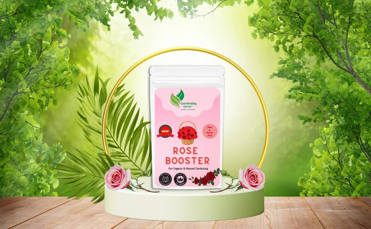 Des coquilles d'œufs broyées au pied des rosiers ? Pourquoi les jardiniers experts le font.