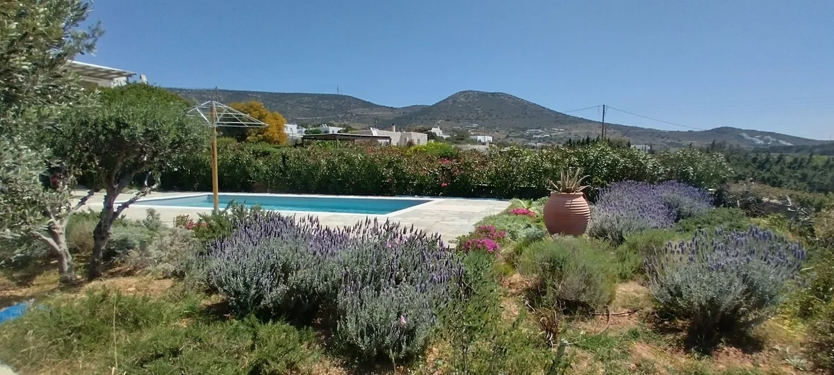 Un horticulteur renommé révèle : l'erreur d'arrosage qui tue 80% des plantes méditerranéennes.